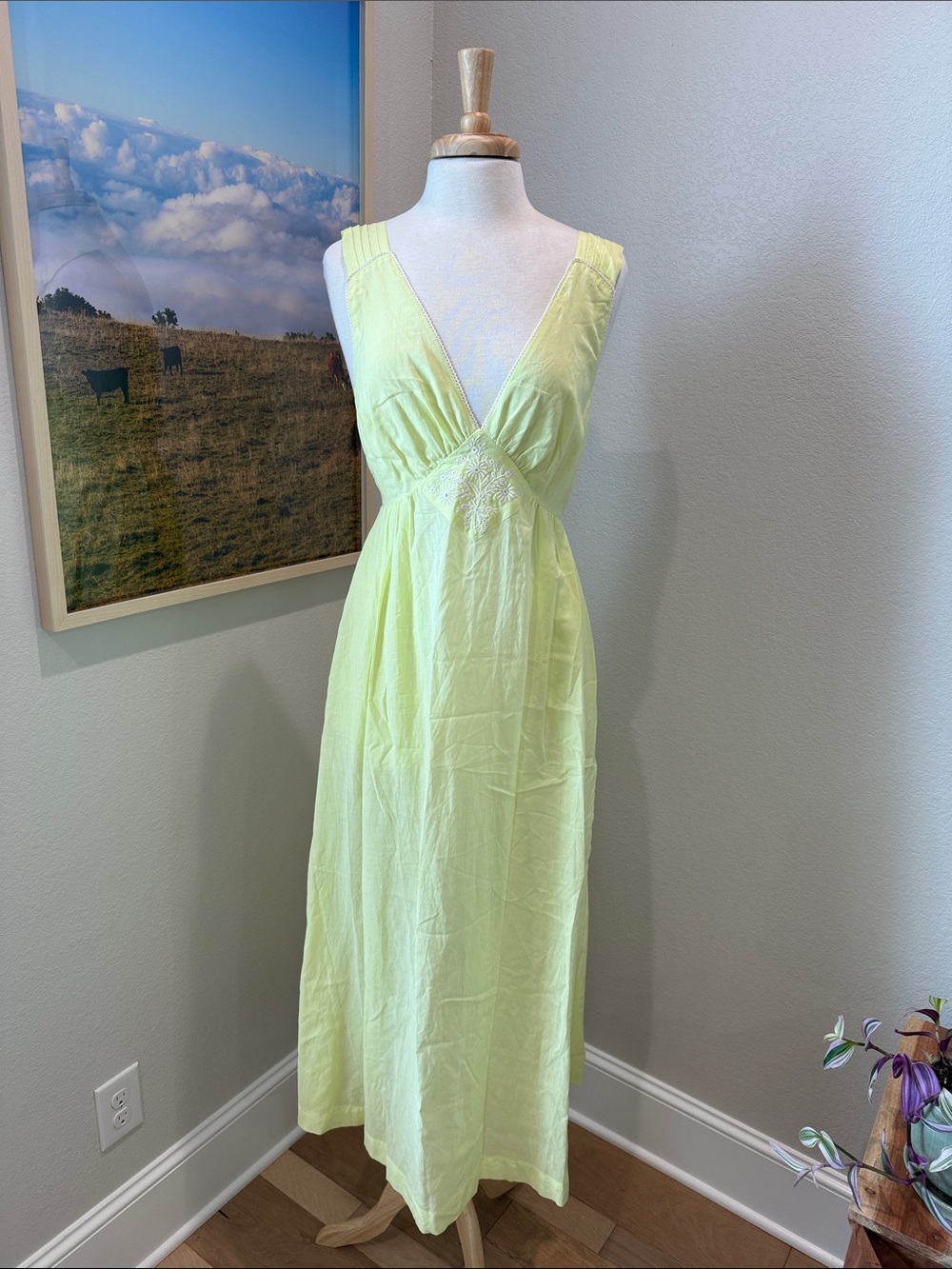 Anthropologie Light Lime Elastic Waist Maxi Dress